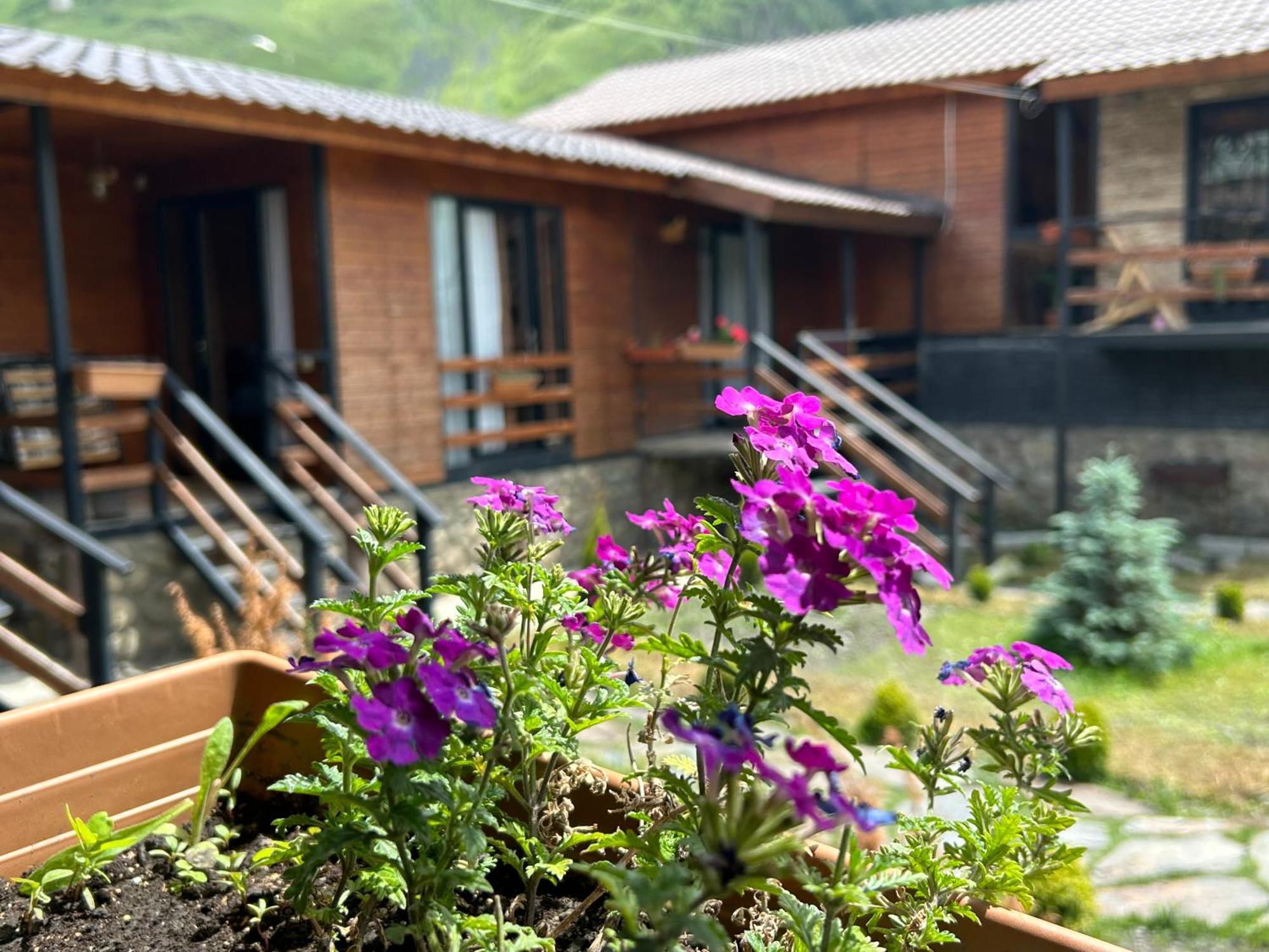 Panorama Cottages Kazbegi Luaran gambar