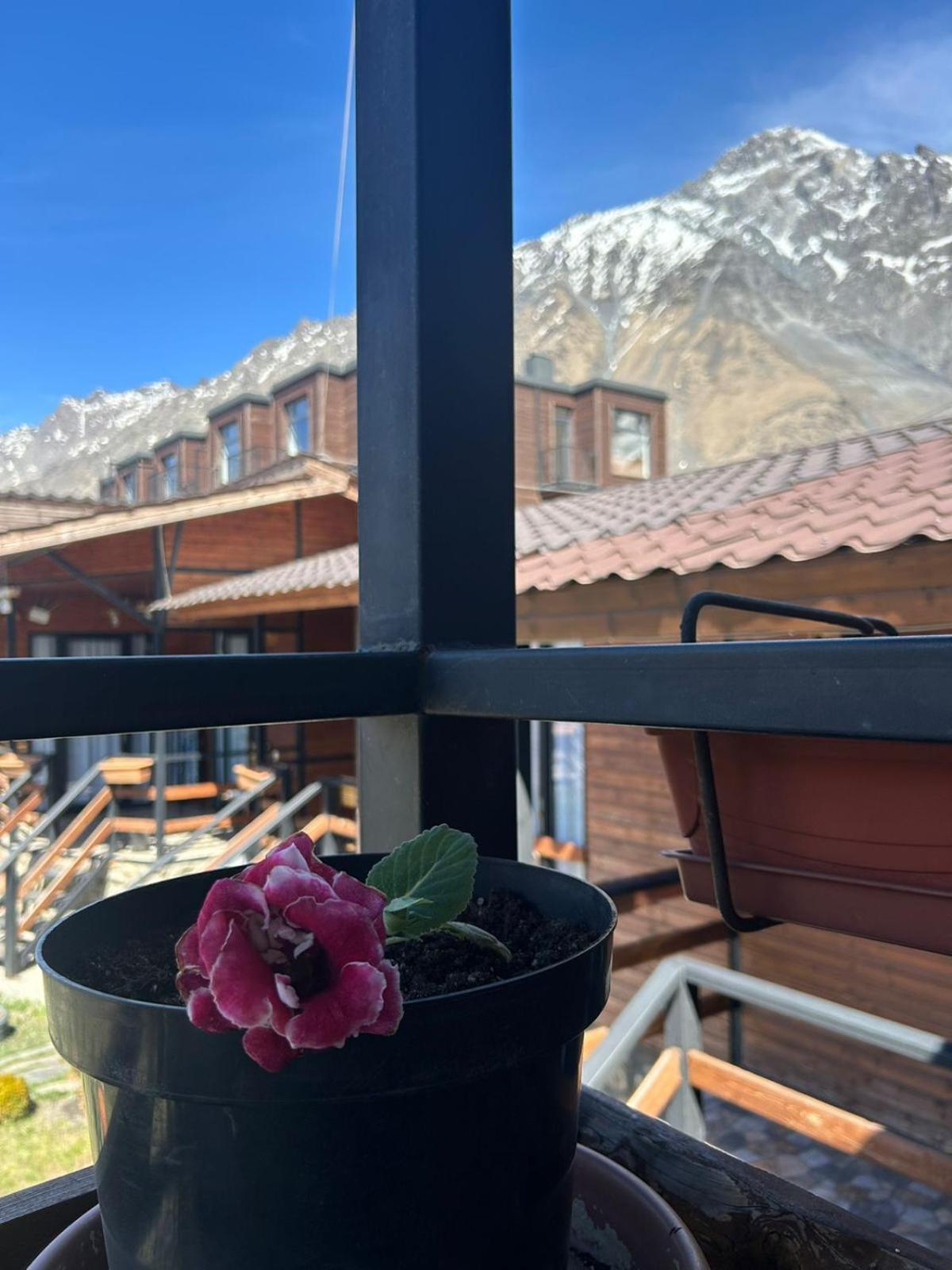 Panorama Cottages Kazbegi Luaran gambar