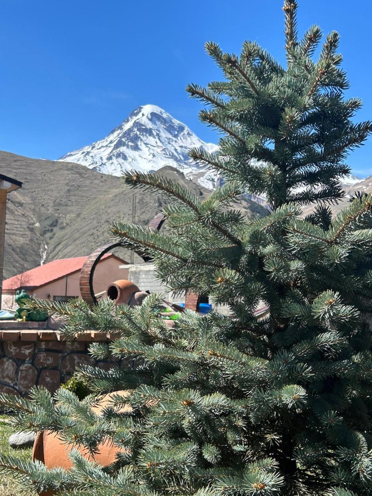 Panorama Cottages Kazbegi Luaran gambar